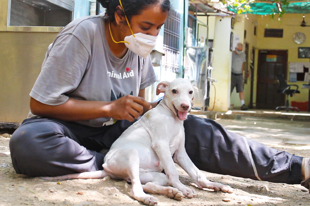 With her last ounce of strength, she wagged her tail. - Animal Aid ...